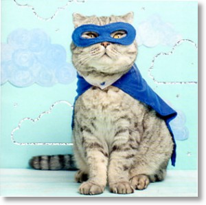 Super Kitty, Animal Blank Card