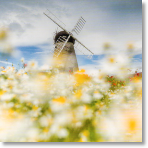 Whitburn Windmill, Scenic Blank Card
