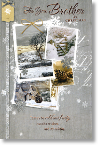 Winter Fields - Brother