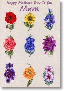 Summer-Flowers - Mam