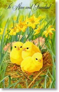 Little Chicks, Nan and Grandad