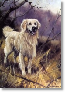 Retriever
