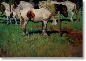 White And Brown Horses