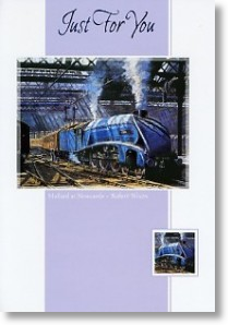 Mallard At Newcastle