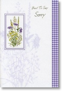 To Say Sorry