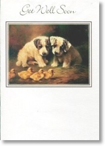 Puppies, Get Well Card
