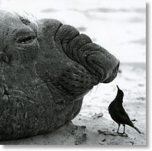 Little And Large
