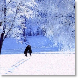 Winter Wonderland, General Christmas Card