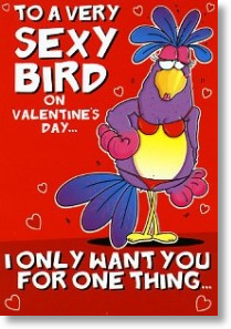Sexy-Bird
