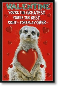 Loved-up Meerkat, Funny Rude Valentine's Day Card