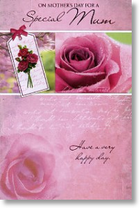 Pink Roses