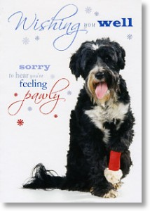 Wishing You Well, Get Well Card