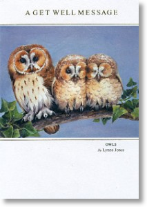 Owls, Get Well Card