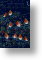 Christmas Robins, For All the Family Christmas Card