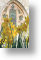 Church Window, Easter Card