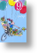 Flying Machine, 9th Birthday Card