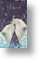 Polar Bear, Husband Christmas Card