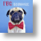 Pug Handsome