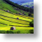 Rolling Hills, Scenic Blank Card