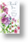 Summer-Blooms