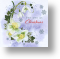 Snowdrops and Roses, Christmas Card