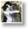 Snuggle Up, Animal Blank Card