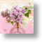 Spring Flowers, Floral Blank Card