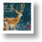 Stag in the Snow, Christmas Card