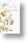 White Flowers, Sympathy Card