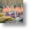 Winter Garden, Scenic Blank Card