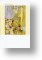Yellow Teddy