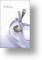 Silver Spoon