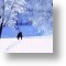 Winter Wonderland, General Christmas Card