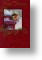 Postman's Friend, General Christmas Card