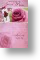 Pink Roses