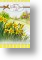 Cluster of Daffodils, Easter Card