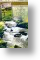 Rushing River